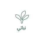 ايقونة (4)